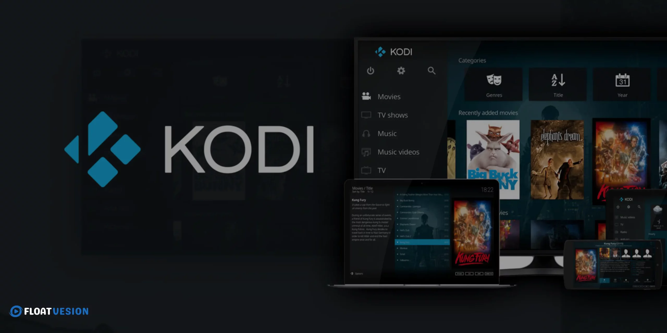 User installing Kodi on a Smart TV for live TV and movie streaming.